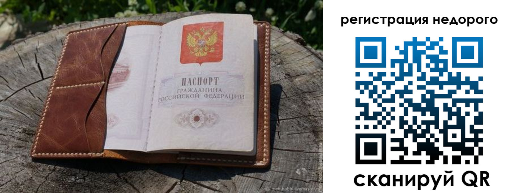 прописка для школы в Петровске